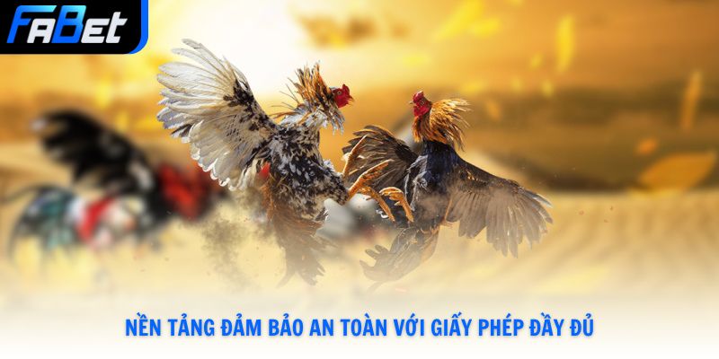 Nền tảng đảm bảo an toàn với giấy phép đầy đủ